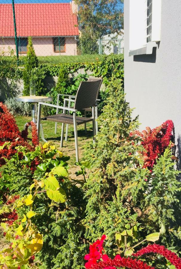 Apartmán U ZÁMECKÉ DYJE Lednice Exteriér fotografie