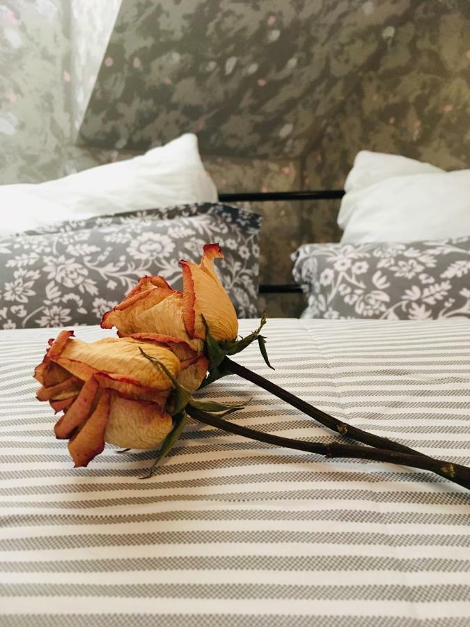 Apartmán U ZÁMECKÉ DYJE Lednice Exteriér fotografie